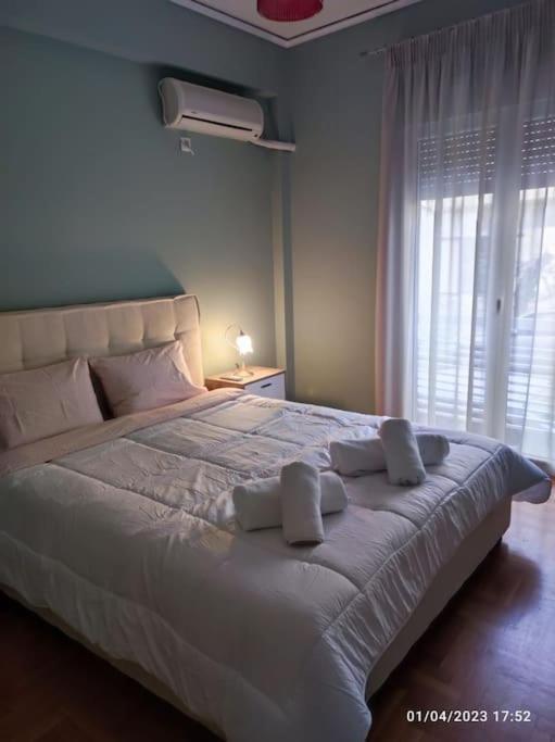 Cozy New Near The Apartment